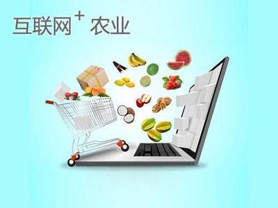 網紅帶貨日入四萬 如何將流量轉化為可持續的財富？